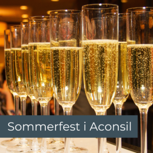 Sommerfest i Aconsil