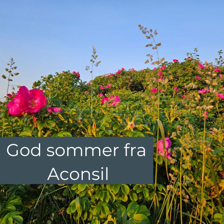 God sommer